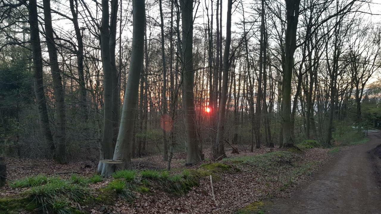 Moin, Moin & Ahoi! Daire Kiel Dış mekan fotoğraf