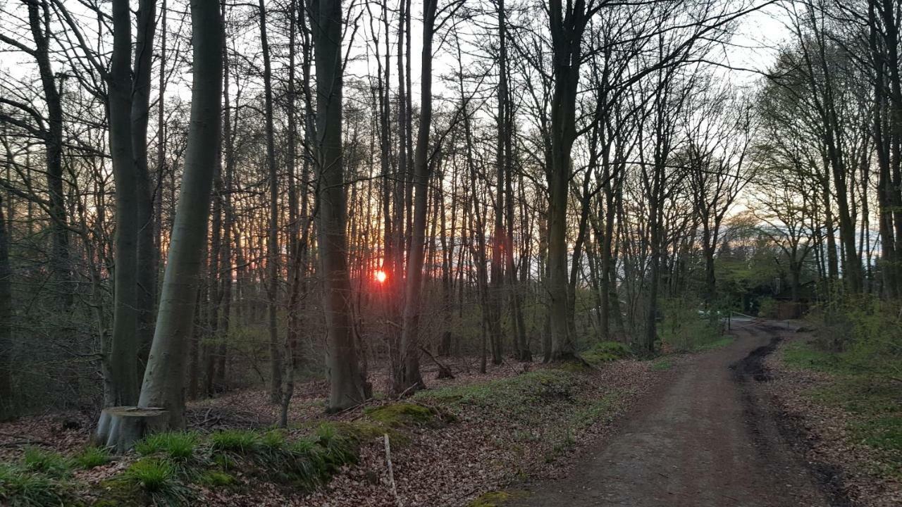 Moin, Moin & Ahoi! Daire Kiel Dış mekan fotoğraf
